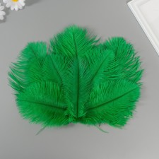Decorative ostrich feather 