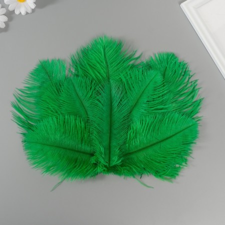 Decorative ostrich feather "dark green" h = 15-20 cm