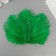 Decorative ostrich feather "dark green" h = 15-20 cm