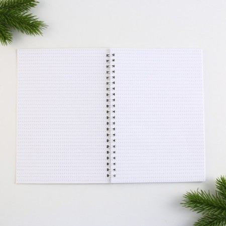 New Year. Diary to the point "Believe in miracles", A5, 60 sheets-1
