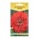 Flowers of zinnia graceful meteor, 0.3 g
