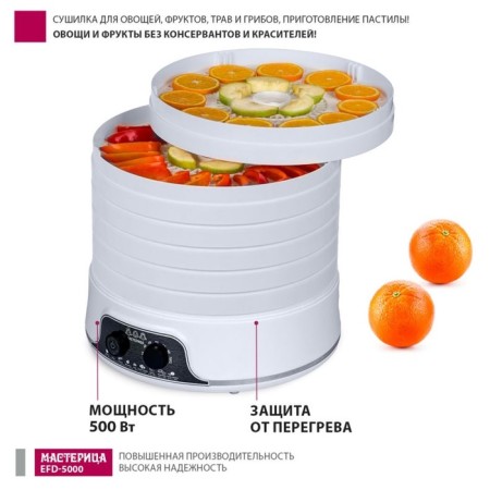 Drywall for vegetables and fruits "Masters" EFD-5000, 500 W, 6 tiers, white-9