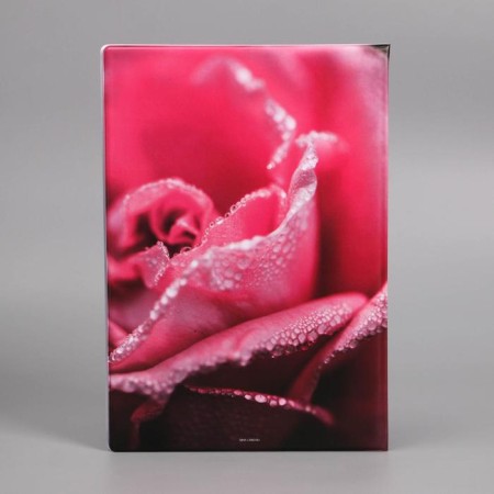 Docs family documents folder, 8 A4 files-5