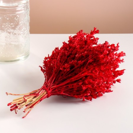 Set of dried flowers "chandra", banch length 40 (+/- 6 cm), red-4
