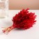 Set of dried flowers "chandra", banch length 40 (+/- 6 cm), red