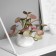 Bonsai in the pot "Peperomy of Ultra" (soft sheet) 9x6 cm, mix