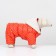 Assumes "for a walk", size 18 (ds 40 cm, fire 50 cm, Osh 38 cm), orange