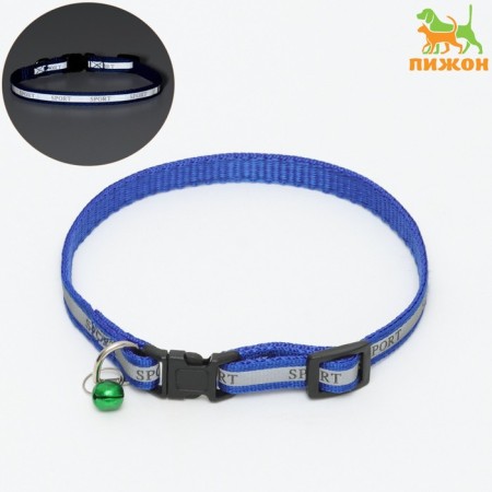 Collar "sport" with a reflective strip, 31 x 1 cm, blue