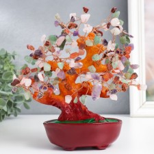 Bonsai souvenir 