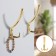 Hook furniture tundra TKT001, three -rod, gold