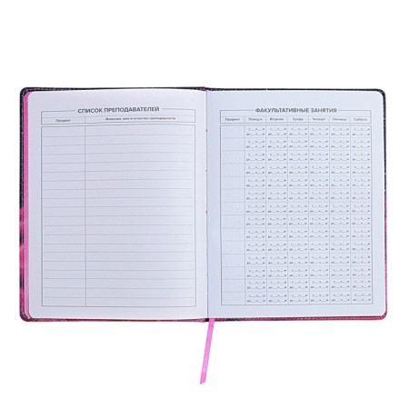 Universal Diary Grade 1-11, 48 sheets "Cat Princess", solid cover of artificial leather, lies, universal cheat sheet, block 80 g/m2-4