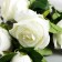 Artificial flowers "Rose Triza" D-7 cm 50 cm, white
