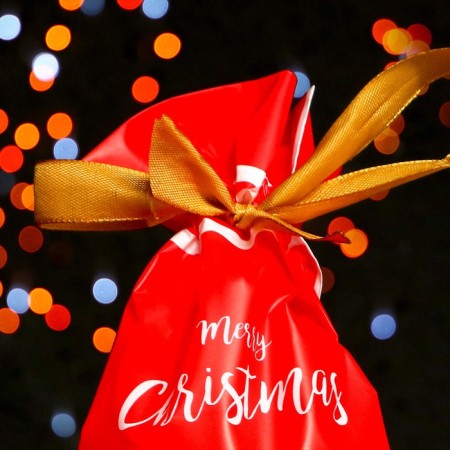 Polyethylene gift package "Deer", with ties, 15*23cm-1