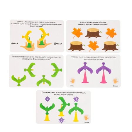 Developing set "soaring birds", balance-1