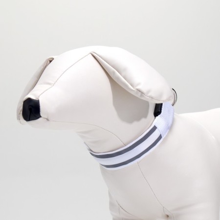 Collar with backlight double strip size S, Osh 35-43 x 2.5 cm, 3 glow modes white-10
