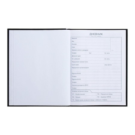 Universal diary for grades 1-11 "World of Football", hard cover, glossy lamination, 40 sheets-4