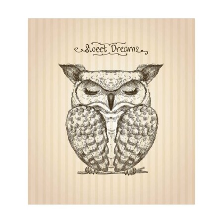 Set of napkins for setting the table "Sleeping owl", rectangular, size 32x46 cm, 4 pcs-2
