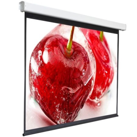 Screen 220x300 cm, Digis Electra-F Dsef-4305, 4: 3, wall-flowing, rolling, drive