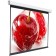 Screen 220x300 cm, Digis Electra-F Dsef-4305, 4: 3, wall-flowing, rolling, drive