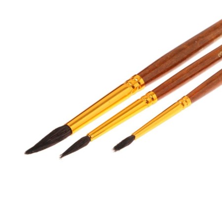 Set of brushes "Squirrel", 3 pieces are round, No. 2.3.4 blister-2