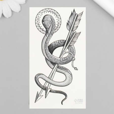 Black body tattoo "snakes with arrows" 10.5x6 cm-1