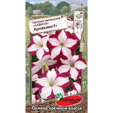 Petunia flowers ampel avalanche hacksino f1, o, 10pcs-2