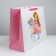 Gift Package Laminated, Packaging, Princess, XL 49 x 40 x 19 cm