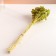 Set of dried flowers "yarrow", banch length 50 (+/- 6 cm), green