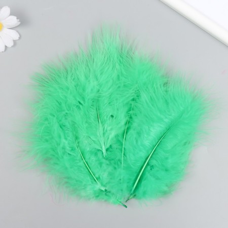 Set of decorative feathers "needlework", 20 pcs (grass), pen length 13-16 cm-2