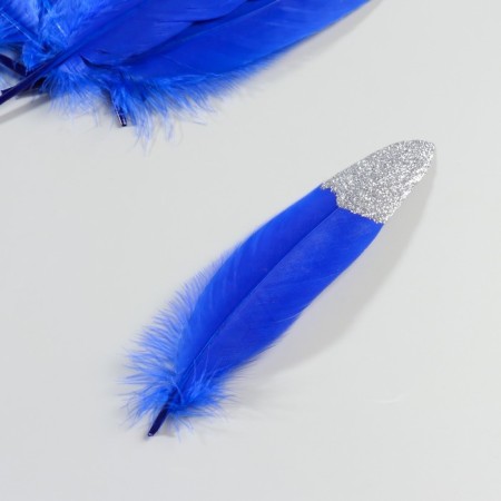 A set of goose feathers 15-20 cm, 10 pcs, blue with silver chips-2