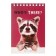 Notepad A6 60l on the crest animals, regional charts, BLPS, 4V MIX
