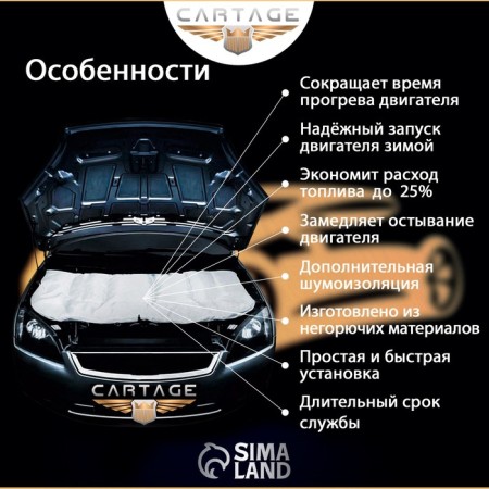 Authorized for the engine Cartage, 160 x 90 cm, especially dense-3