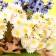 Floristic decor "bees", 10 pcs., 19 x 14 mm