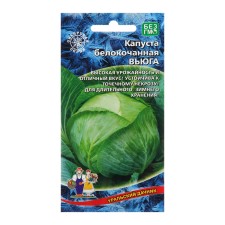 Cabbage seeds 