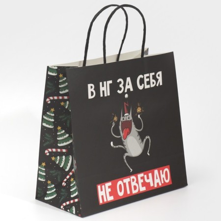 Gift package “I don't answer at all”, 22 x 22 x 11 cm, New Year-1