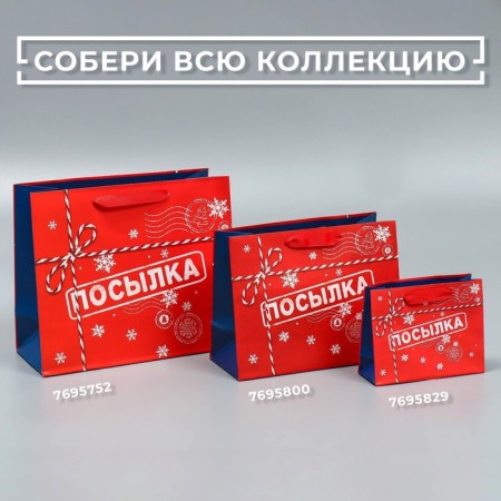 Laminated horizontal "Parcel", ML 27 x 23 x 11.5 cm, New Year-7