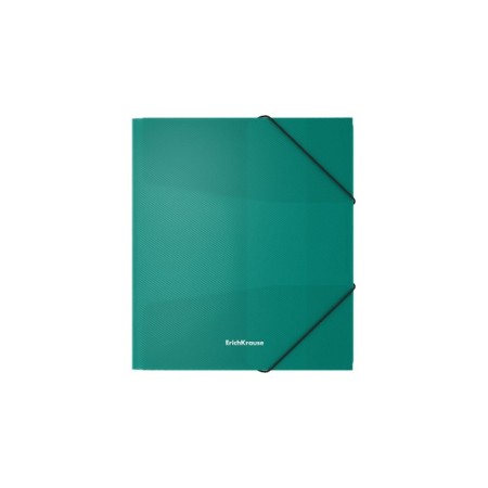 The A5+, 550 μm elastic band, Erichkrause Diagonal Vivid, Koreshok 5 mm, up to 300 sheets, mix-4