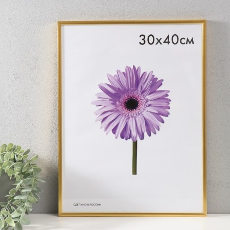 Photo frame plastic LIDA 30x40 cm gold