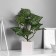 Bonsai "Extra" 8x27 cm, green