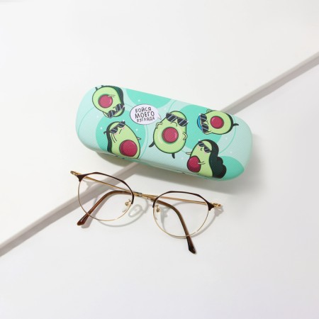 Case for the glasses "Fear my gaze"-2
