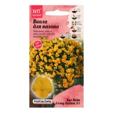 Viola flowers 