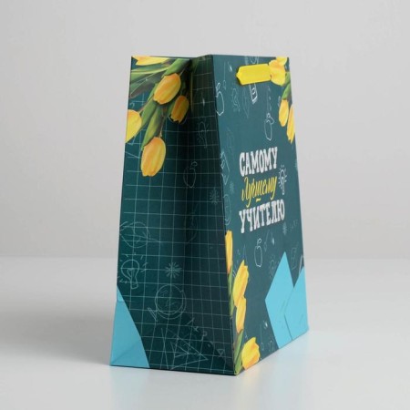 Package Gift Laminated Vertical, Packaging, “The Best Teacher”, ML 27 x 23 x 11.5 cm-2