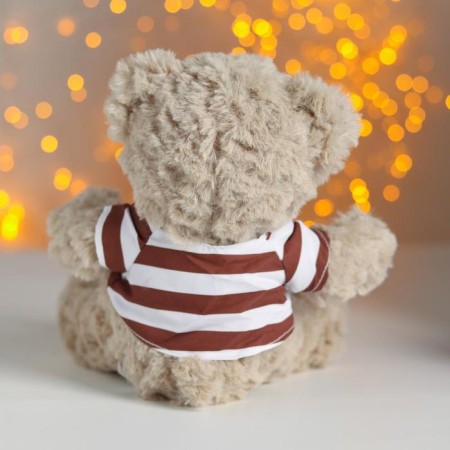 Soft toy "Mishutka in a T -shirt"-1