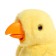 Interactive toy "Bird Cun", sound, color mix