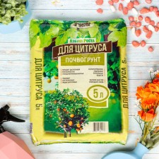 Soil citrus 5 l