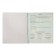 Substantial note Calligrata "Metal", 48 sheets in a cell of physics, with reference material, covered cardboard, block No. 2, whiteness 75% (gray sheets)