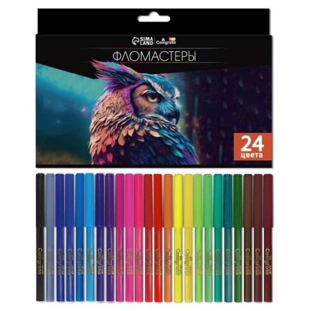 Fleeters 24 colors, Top calligrata, in a cardboard box