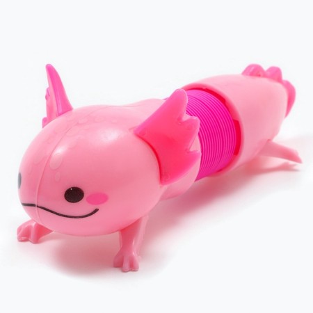 Developing toy "iguana", color mix-6
