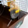 A cage for rodents "Pigger", equipped, 27 x 21 x 26 cm, brown