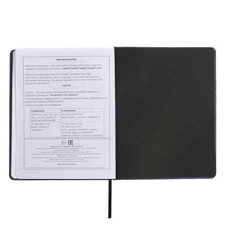 School diary for grades 1-11, 99/1 %, firm covered with foam, artificial leather, silkography, liesse, universal cheat sheet, 48 sheets, block 80g/m2-12